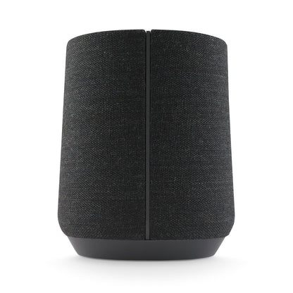 Harman Kardon Citation 300 BT Speaker